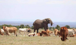 Orkiu Safari Camp